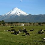 Earth Energies in New Zealand