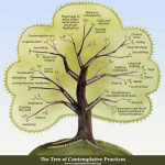 Tree of contemplative practises