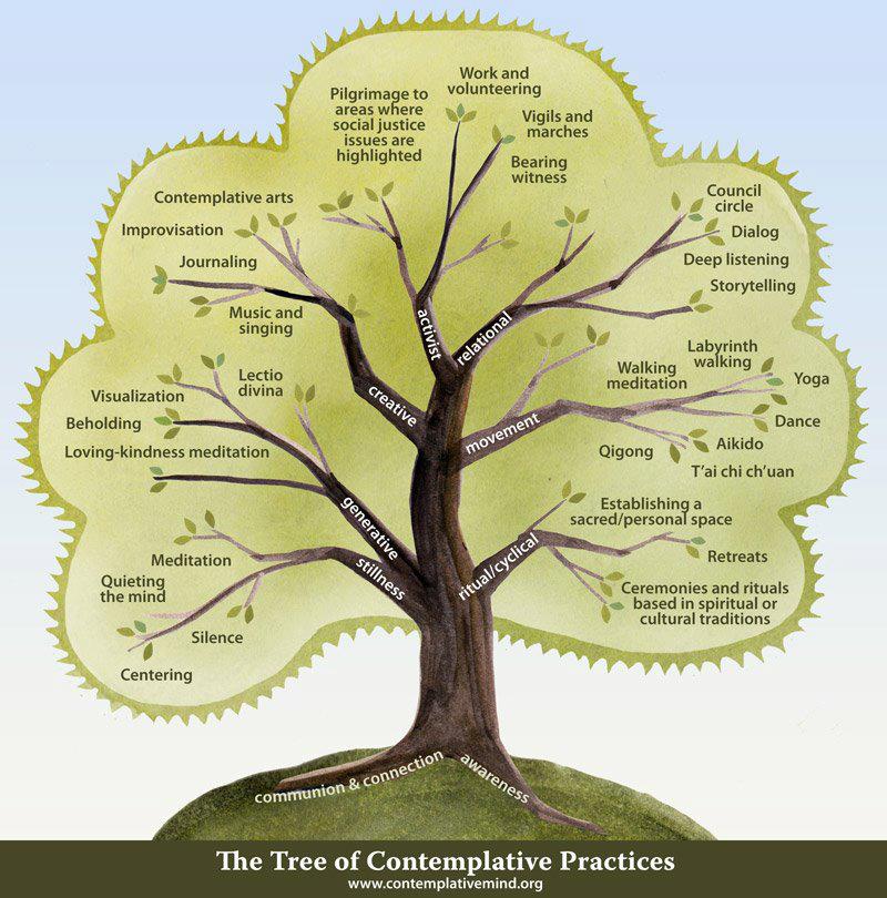 Tree of contemplative practises