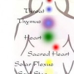 Working with the chakras to cleanse and heal subtle bodies