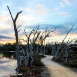 Landscape Photography - River and War Landscapes