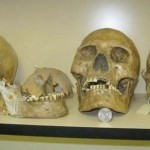 thousands of giant human skulls destroyed 