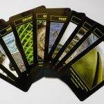 Image of a selection of the Paulina Howfields Soul Whispers Cards