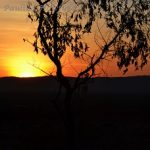 Image of the sun at sunset taken by Paulina Howfield