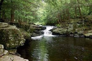 water and relationships with the natural world