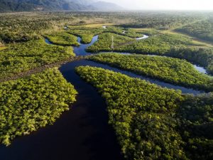 fires in the Amazon along the river