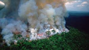 Image of Fires in the Amazon